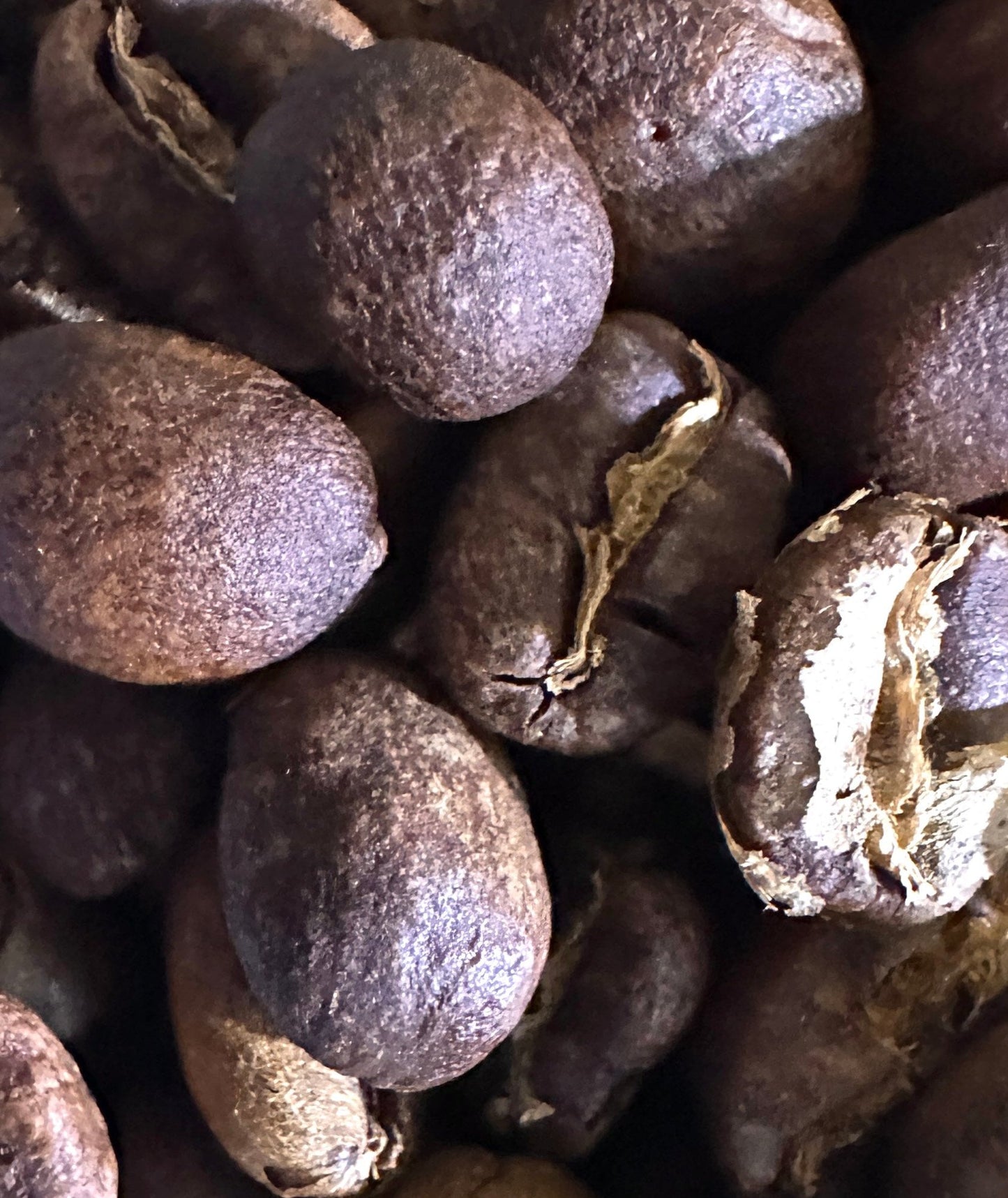 Several light roasted Ethiopian coffee beans